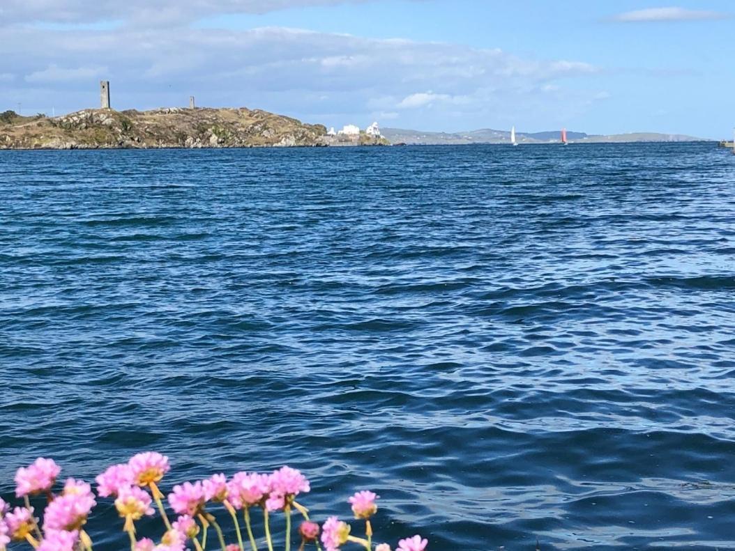 Seafront House With Own Private Pier In Gunpoint, Schull, West Cork Villa Seafort Exteriör bild